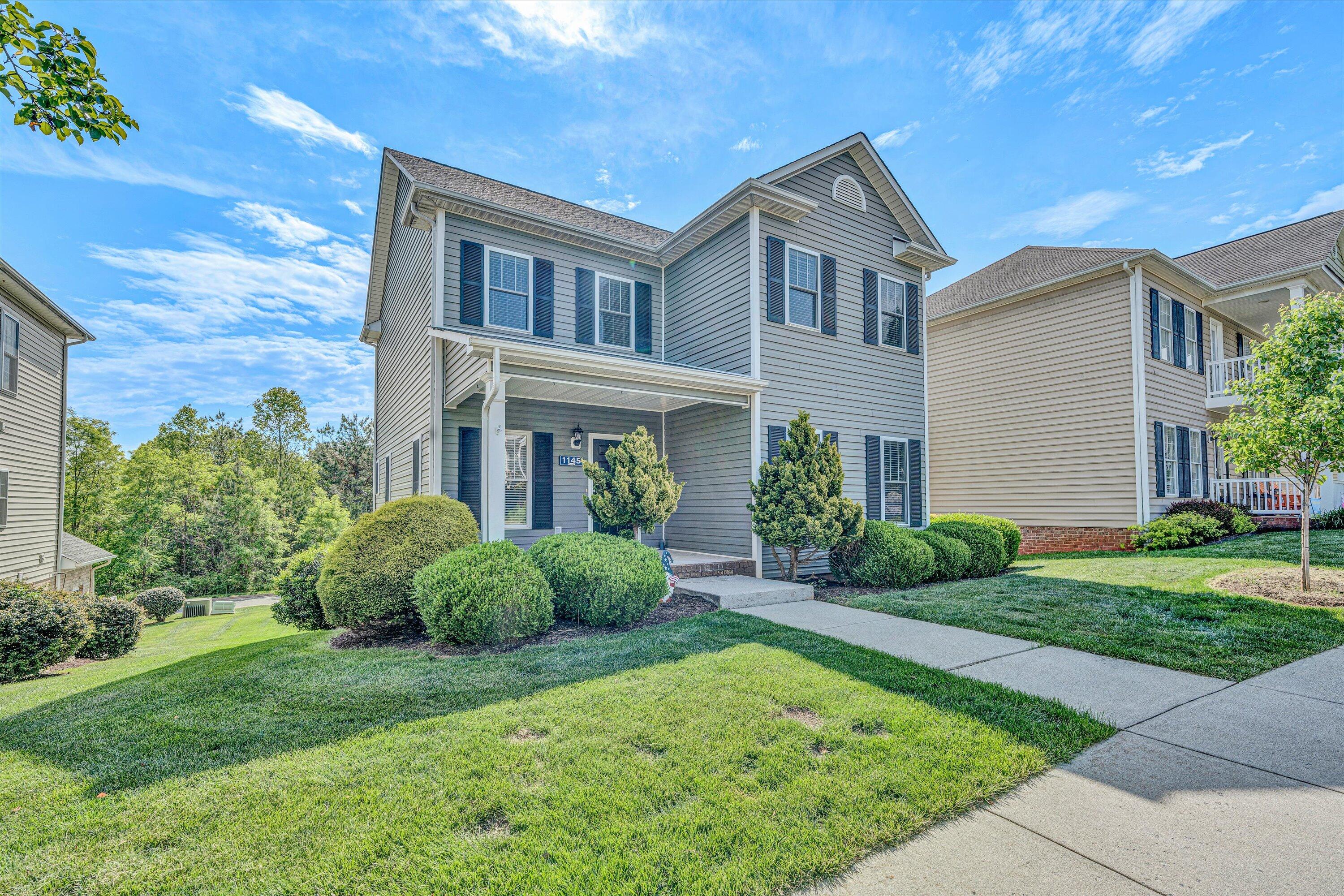 1145 Cranberry Court Moneta, VA 24121 - Photo 2 of 46 02-DSC00124