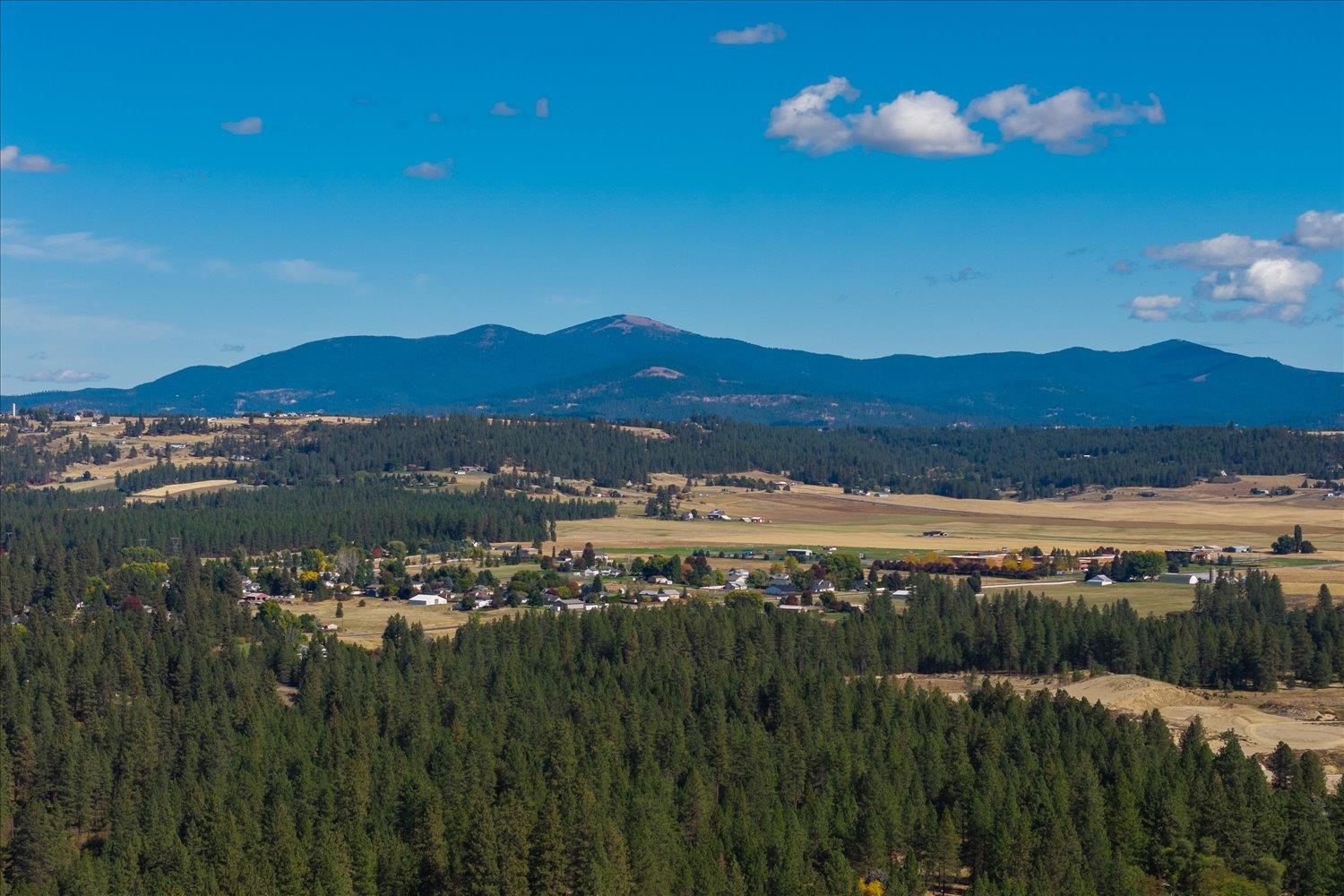 4105 East Center Road Mead, WA 99021 - Photo 49 of 49 Gallery Image 49