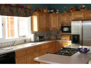 737 Shadden Road Gray, TN 37615 - Photo 7 of 19 Kitchen