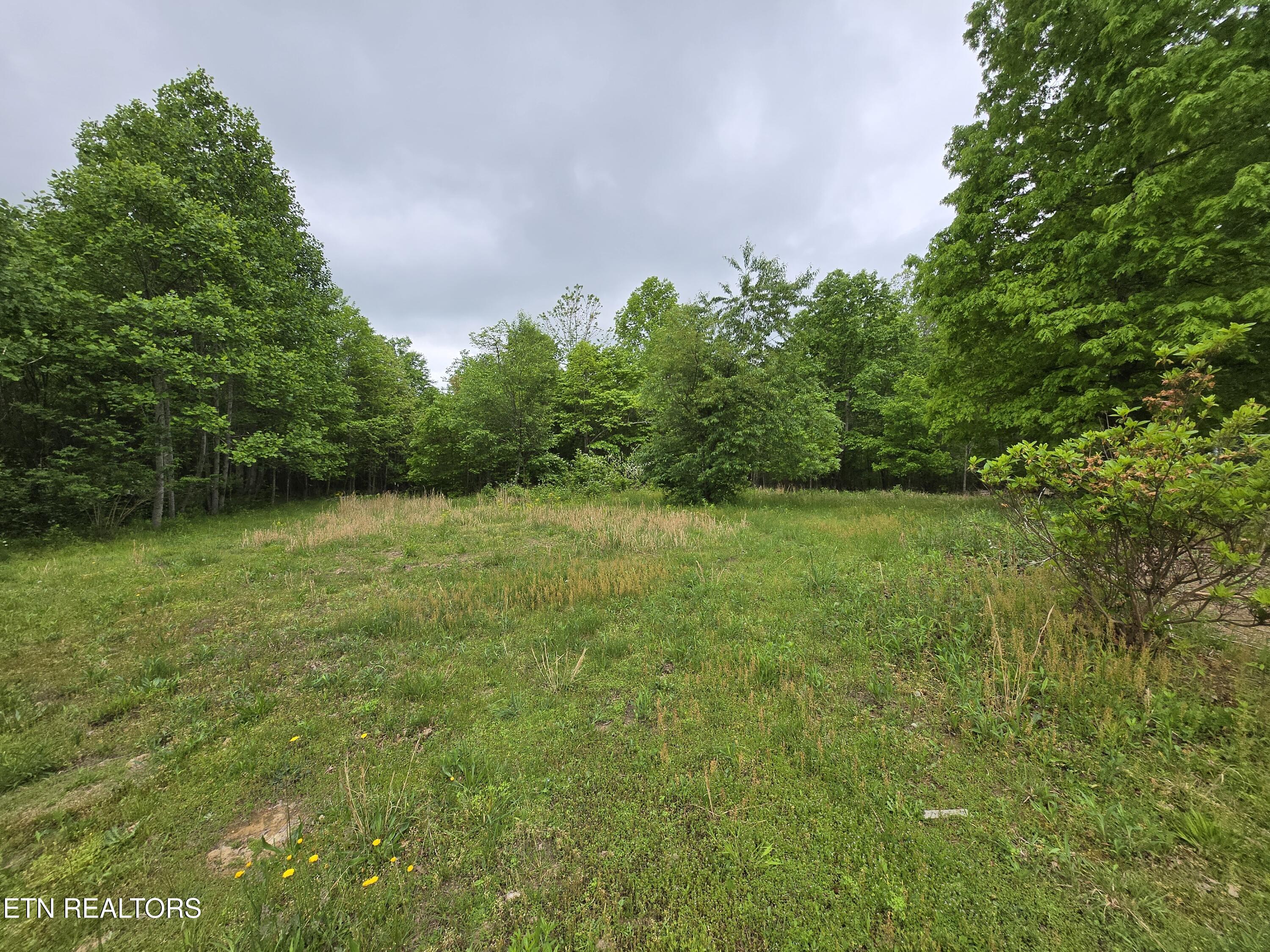 7296 Genesis Road Crossville, TN 38571 - Photo 3 of 14 20250509_105835