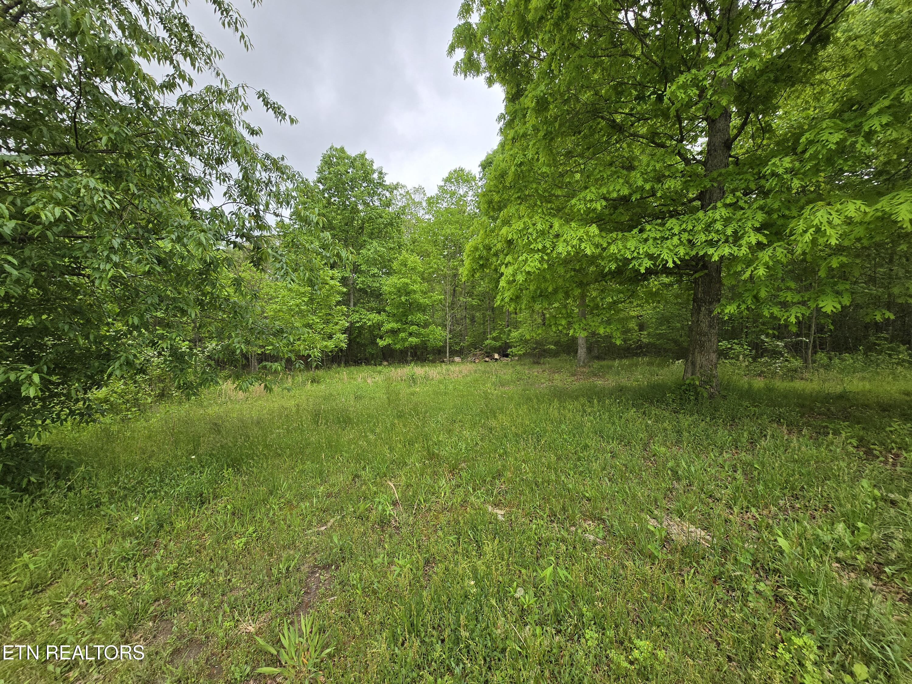 7296 Genesis Road Crossville, TN 38571 - Photo 4 of 14 20250509_105851