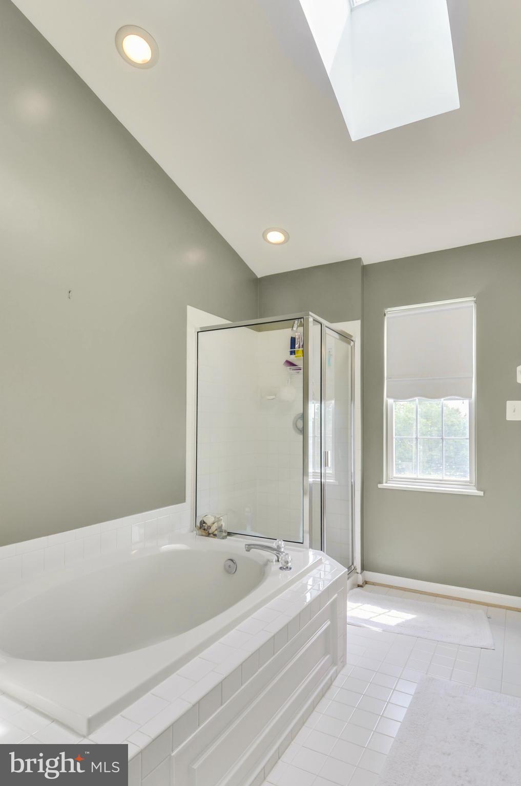 19500 Conlon Court Poolesville, MD 20837 - Photo 20 of 29 Bath (Master)