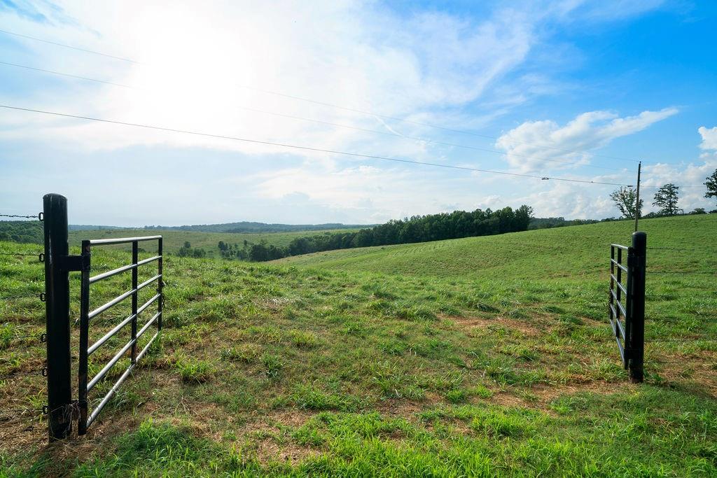 339 Cavender Lane Bowdon, GA 30108 - Photo 14 of 31