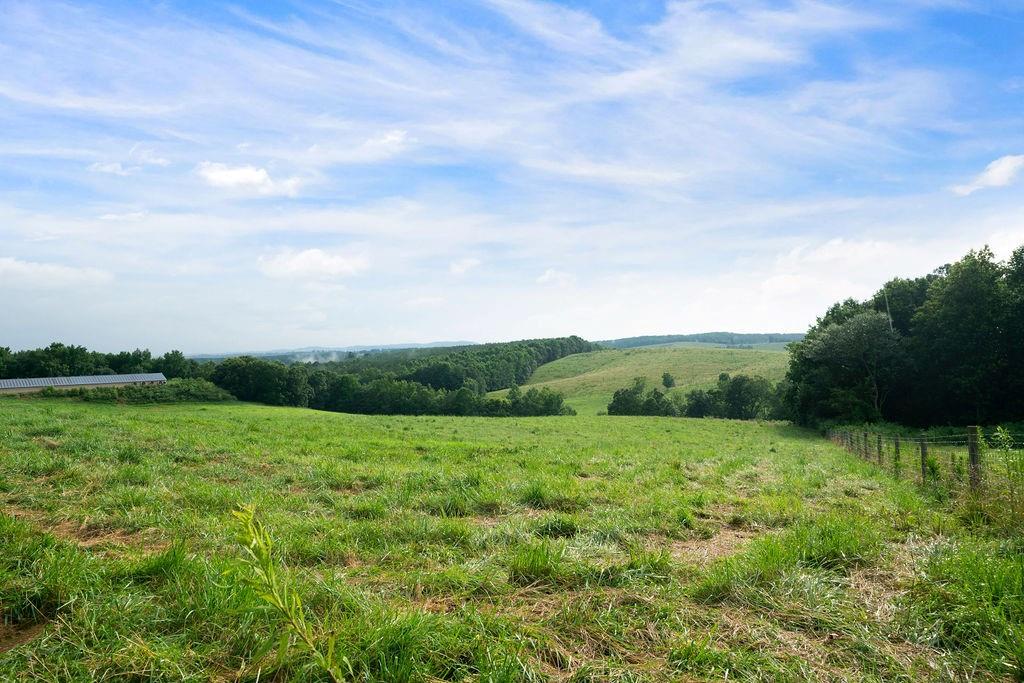 339 Cavender Lane Bowdon, GA 30108 - Photo 15 of 31