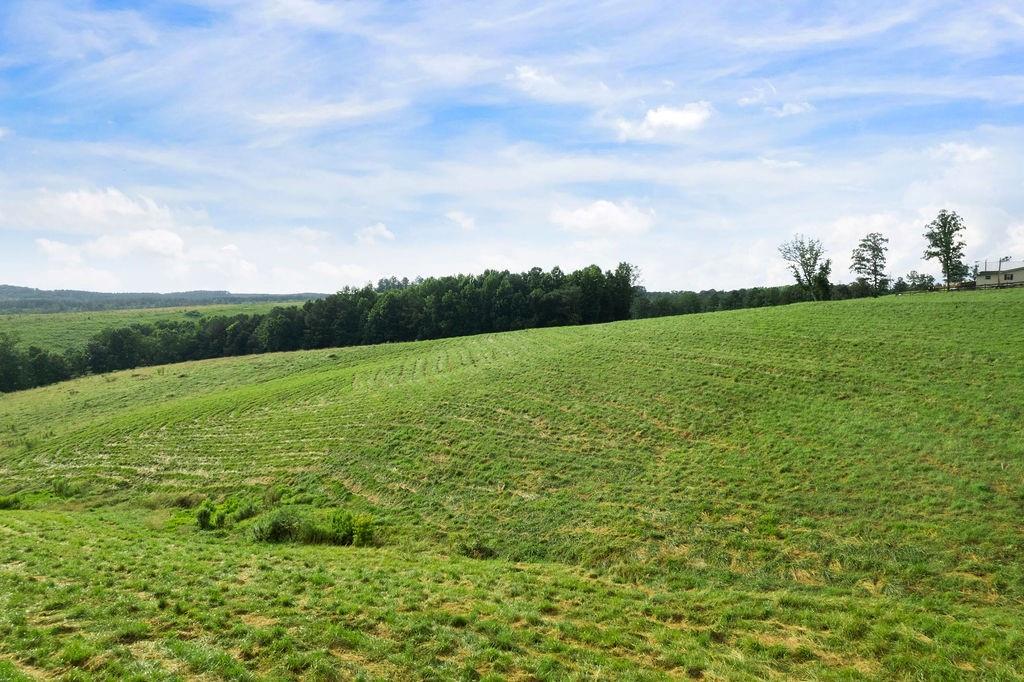 339 Cavender Lane Bowdon, GA 30108 - Photo 17 of 31