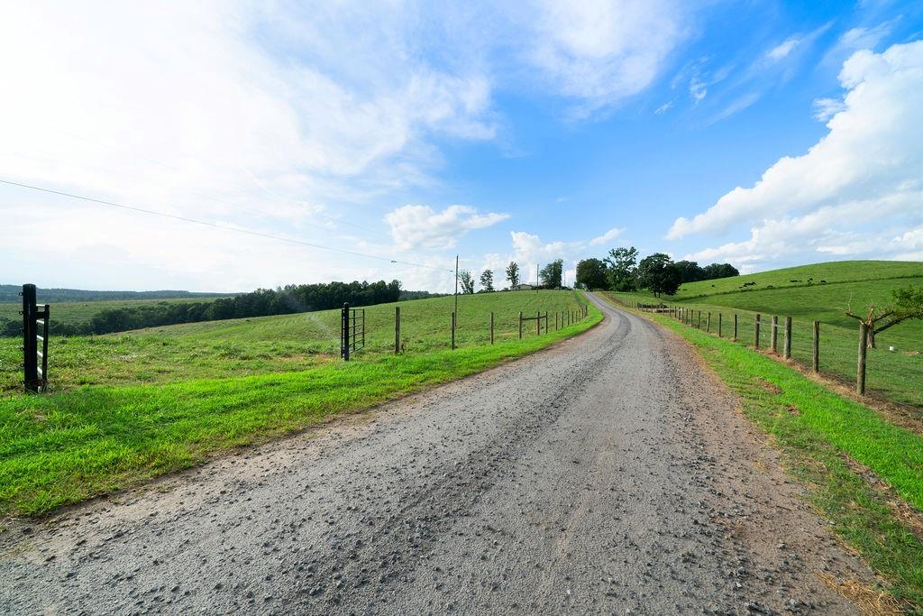 339 Cavender Lane Bowdon, GA 30108 - Photo 8 of 31