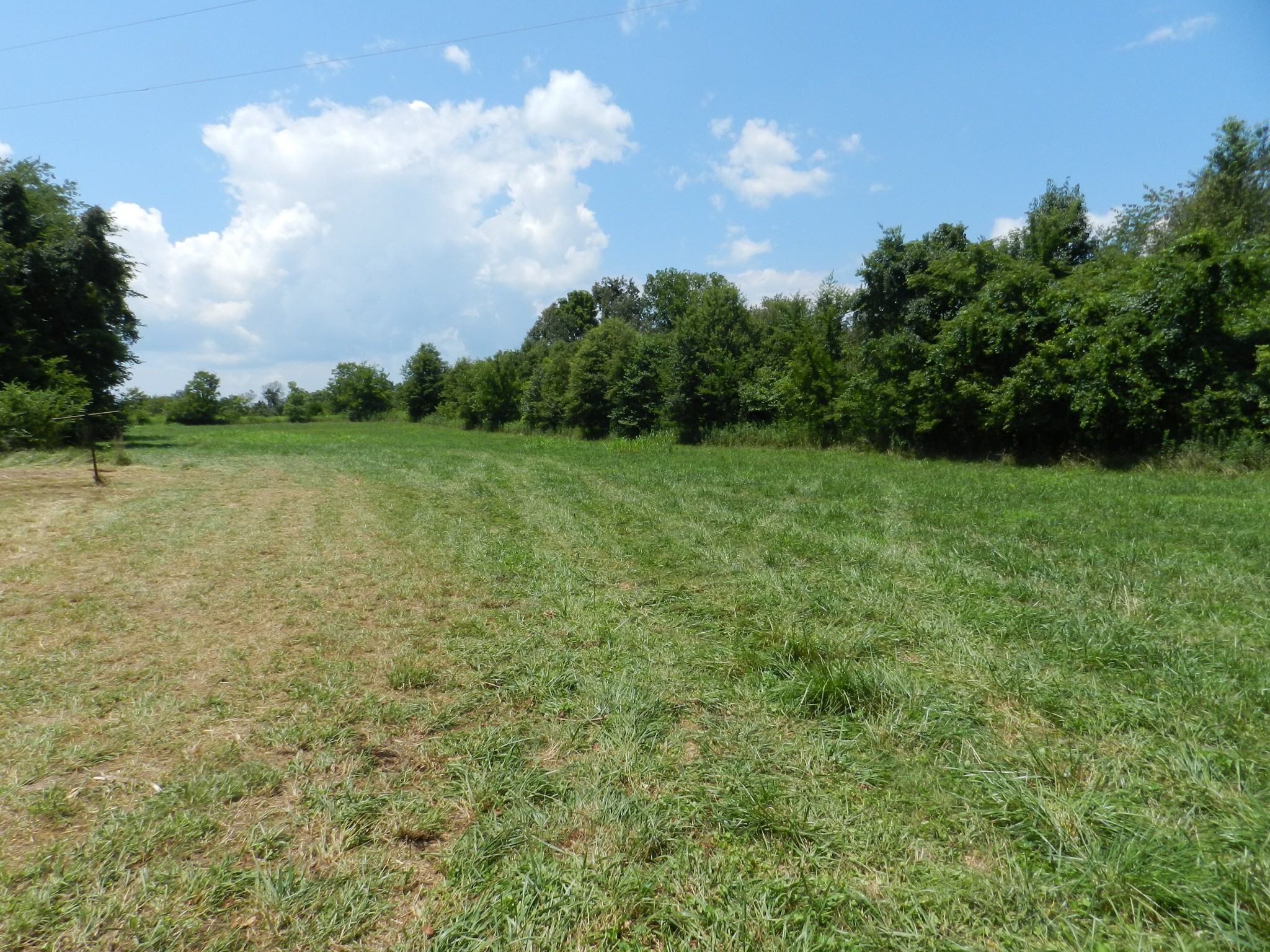3776 Prairie Plains Road Hillsboro, TN 37342 - Photo 3 of 7 Gallery Image 3