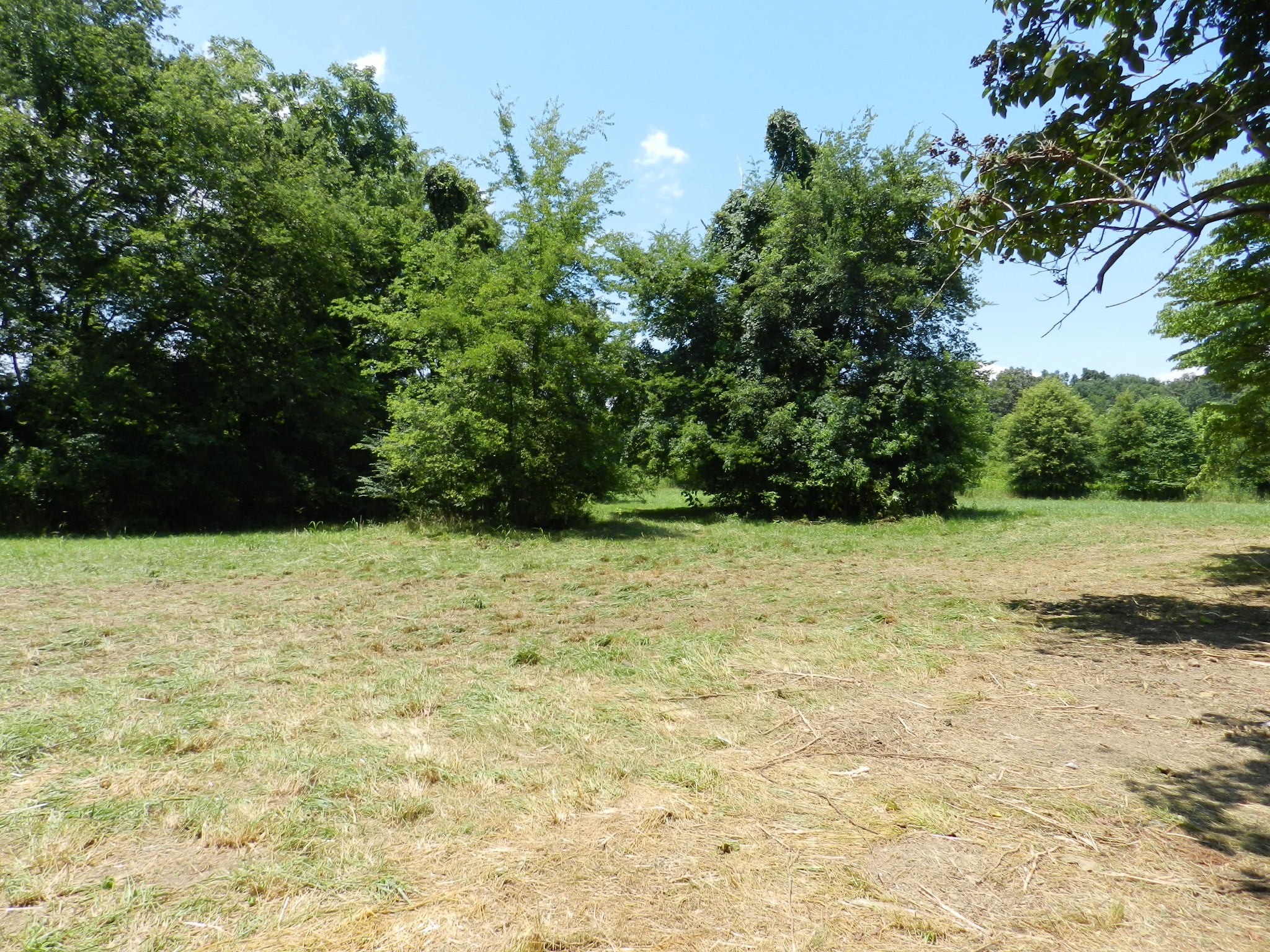 3776 Prairie Plains Road Hillsboro, TN 37342 - Photo 5 of 7 Gallery Image 5