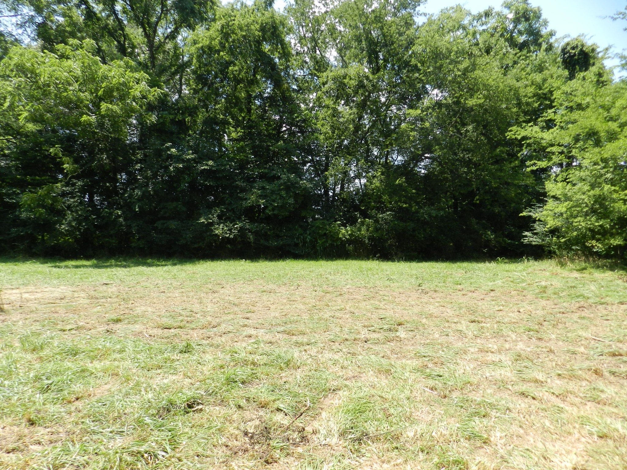 3776 Prairie Plains Road Hillsboro, TN 37342 - Photo 6 of 7 Gallery Image 6
