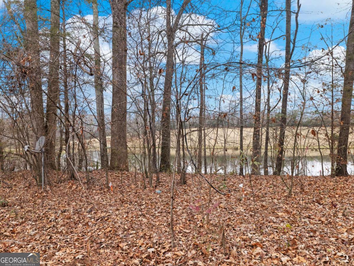5222 Bogus Road Gainesville, GA 30506 - Photo 37 of 43 a view of wooden floor in a backyard