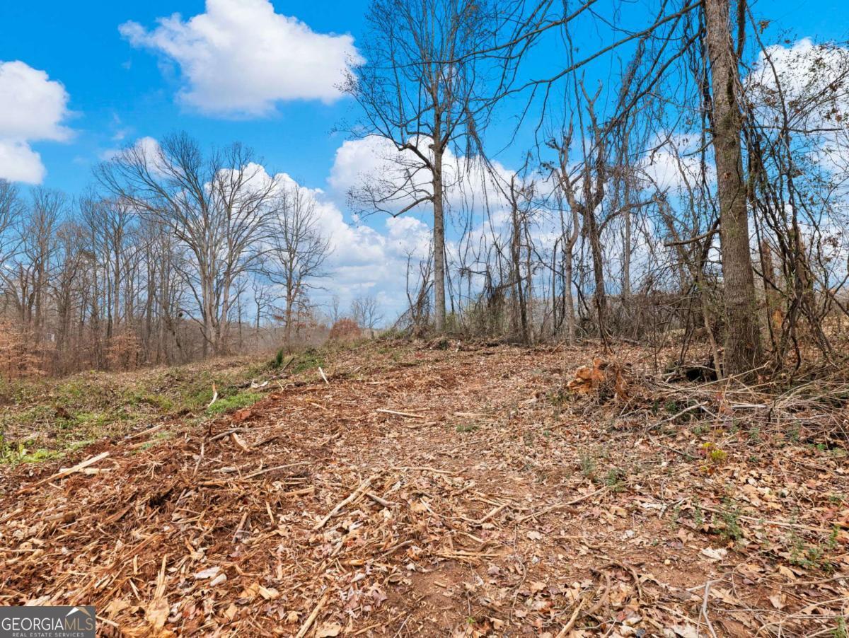 5222 Bogus Road Gainesville, GA 30506 - Photo 41 of 43 a view of backyard space