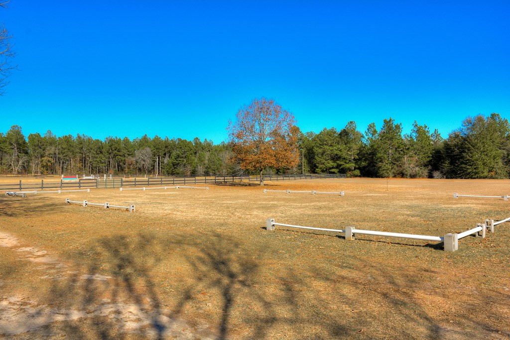 448 Long Cane Road Williston, SC 29853 - Photo 12 of 53