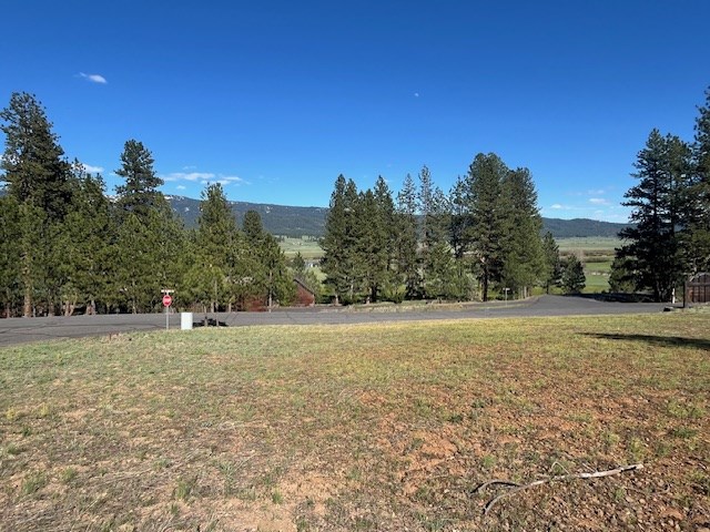 B11-l9 Hot Springs Road, Unit 9 New Meadows, ID 83654 - Photo 2 of 20