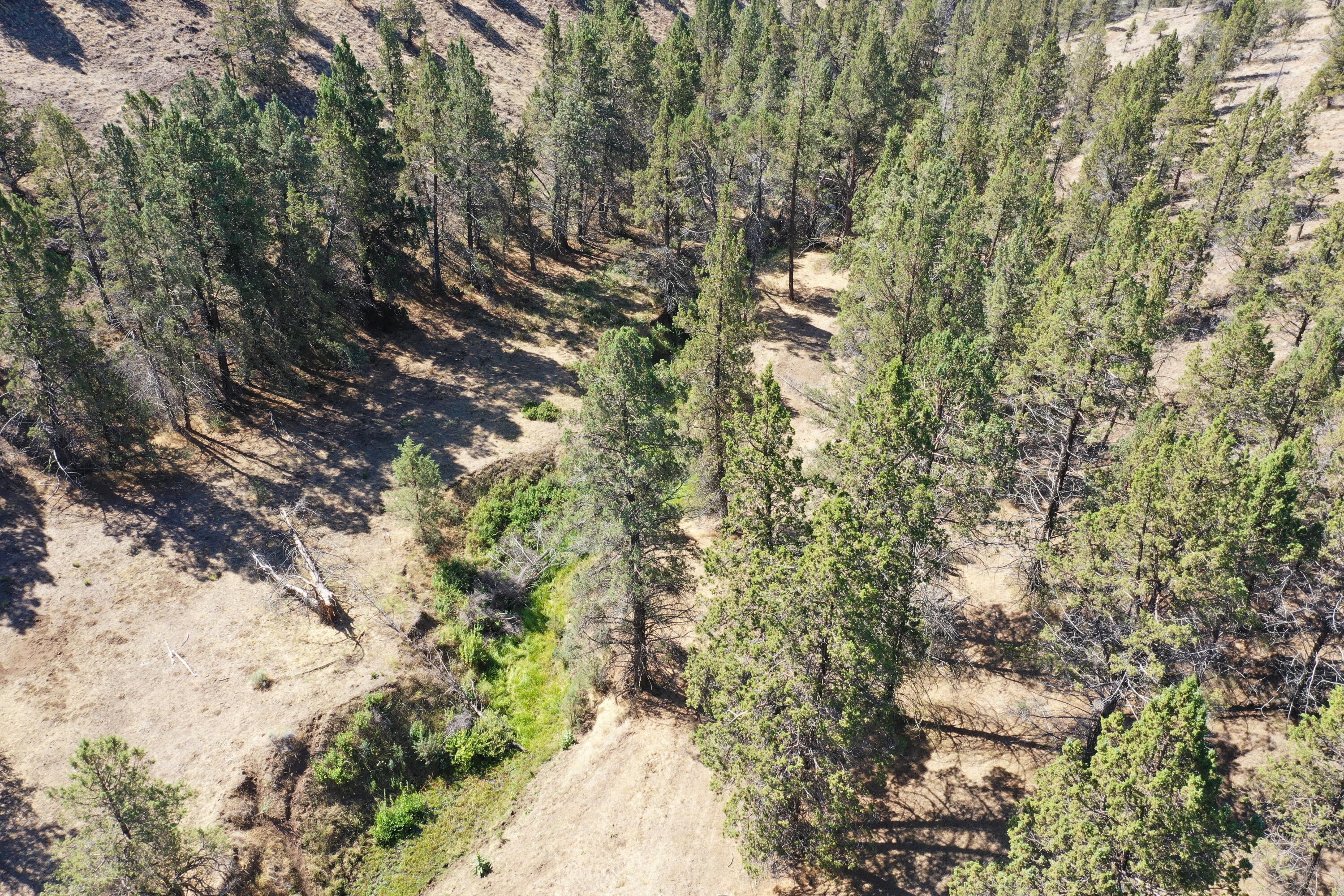2400 Wiley Creek Road Mount Vernon, OR 97865 - Photo 27 of 34 DJI_0390