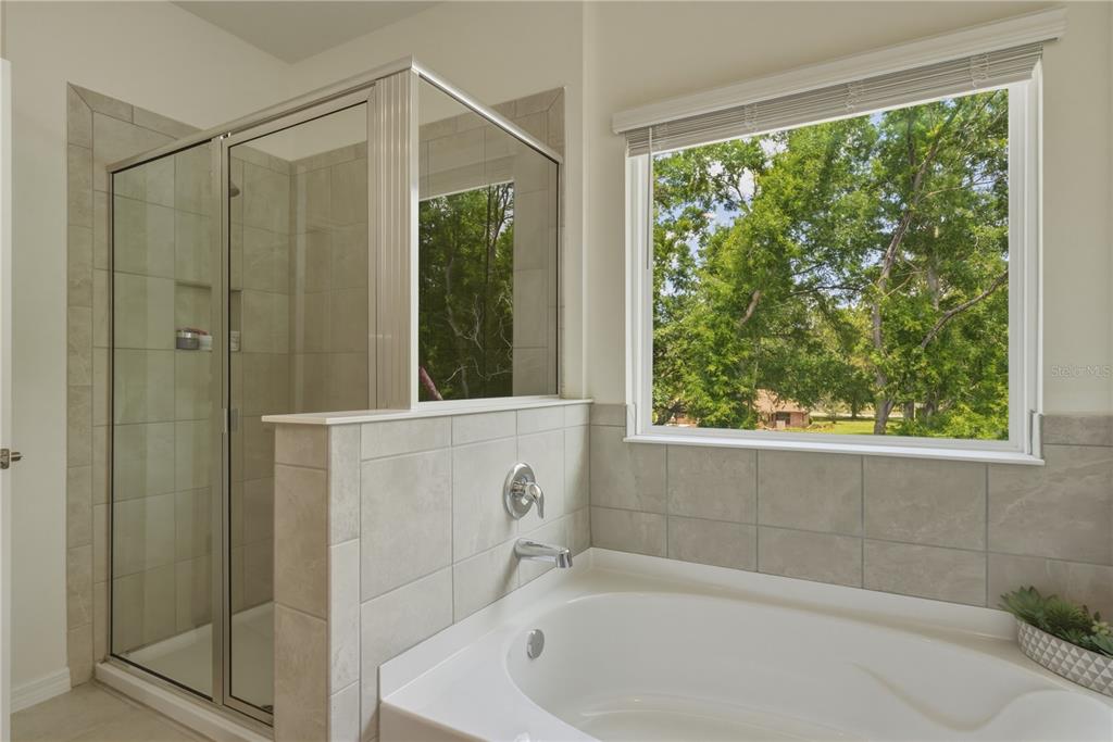 17664 Northwest 173rd Road Alachua, FL 32615 - Photo 20 of 31 a bath tub sitting next to a window and a shower