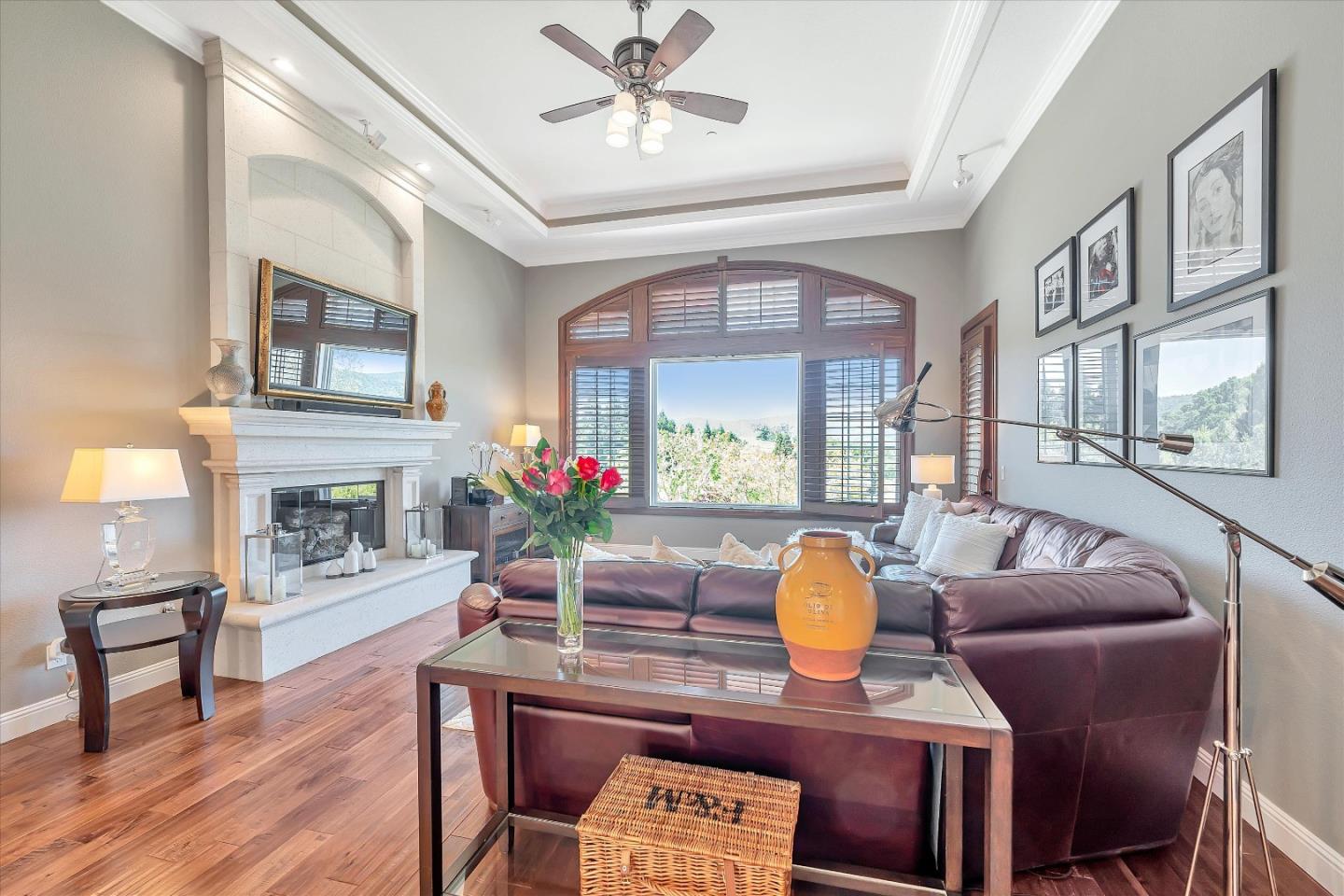 2380 Sunflower Circle Gilroy, CA 95020 - Photo 12 of 43 a living room with furniture a fireplace and potted plants