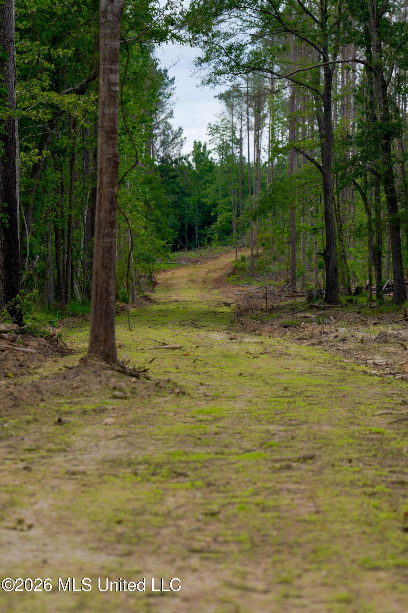 Lorance Road Clinton, MS 39056 - Photo 9 of 25 _DSC5529