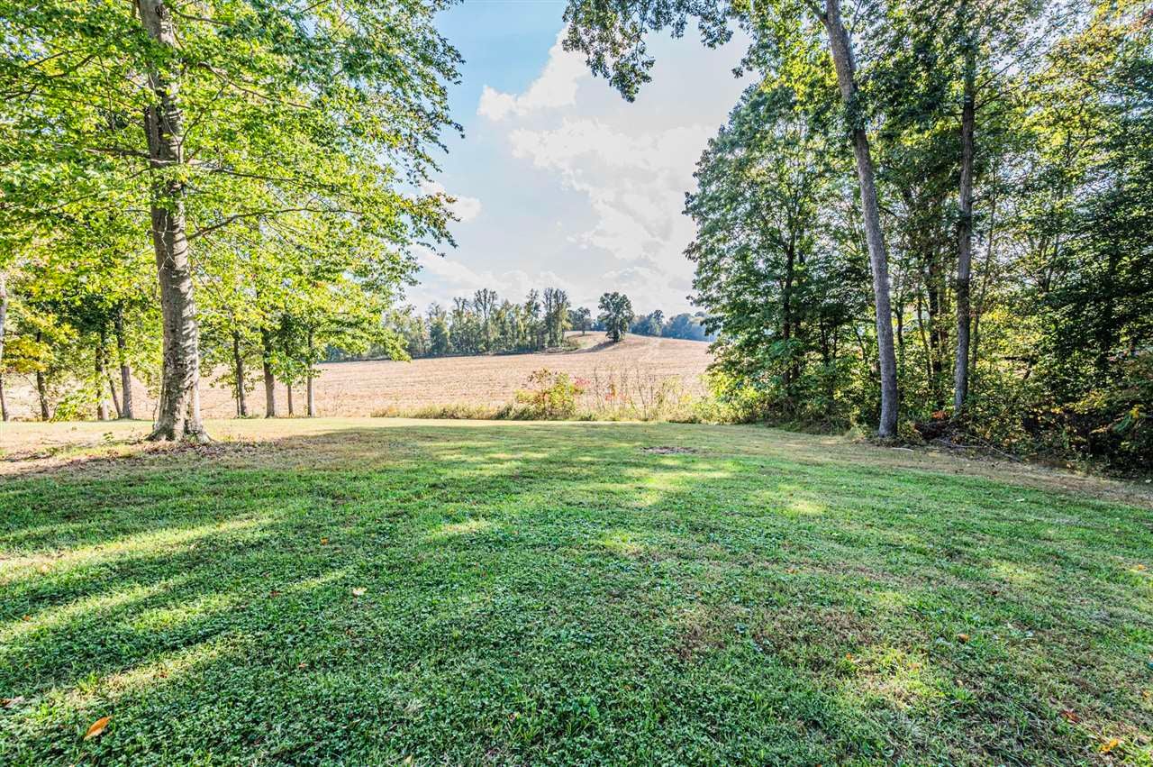 111 Friendship Church Road Scottsville, KY 42164 - Photo 20 of 26 Gallery Image 20