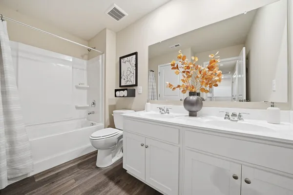 a bathroom with a double vanity sink toilet and shower
