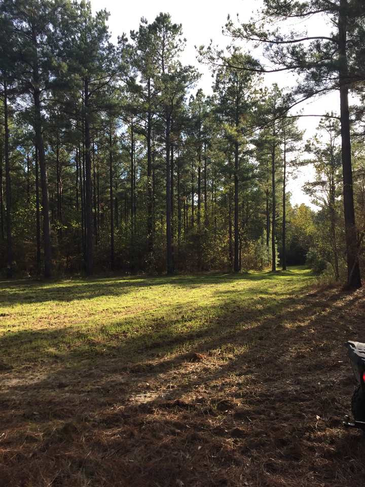 771 Coxburg Road Lexington, MS 39095 - Photo 1 of 9 Photo 1