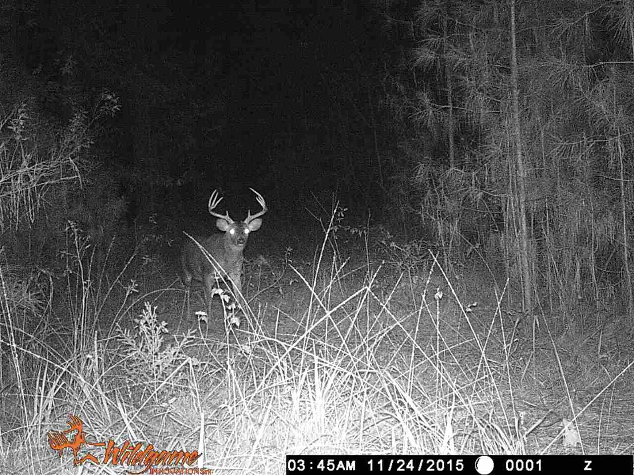 771 Coxburg Road Lexington, MS 39095 - Photo 3 of 9 Photo 3