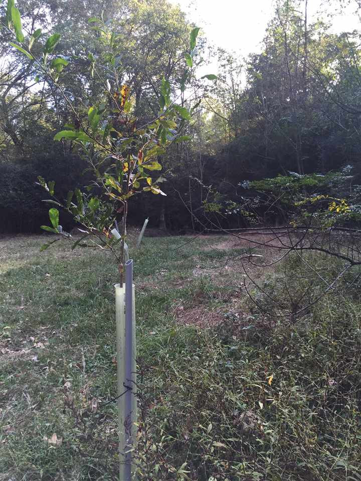 771 Coxburg Road Lexington, MS 39095 - Photo 5 of 9 Photo 5