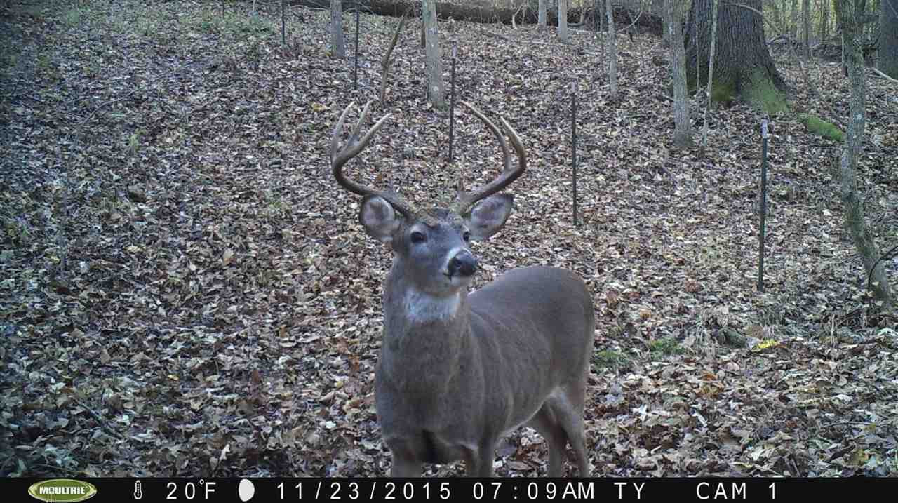 771 Coxburg Road Lexington, MS 39095 - Photo 6 of 9 Photo 6