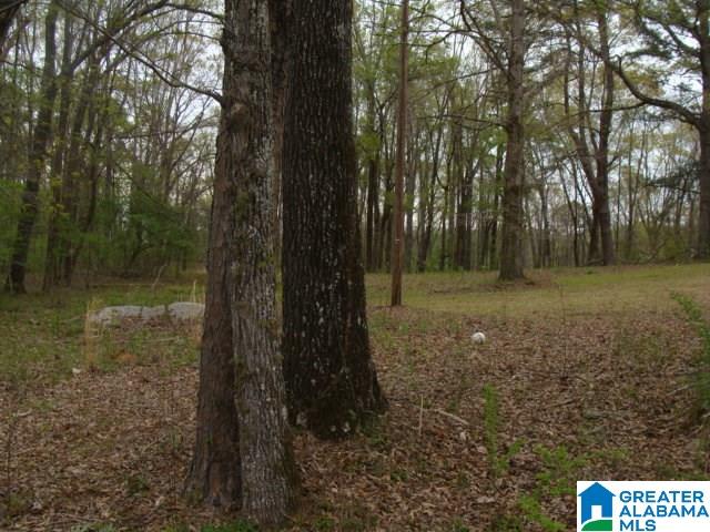 406 Caffe Ridge, Unit PARCEL Woodstock, AL 35188 - Photo 1 of 30