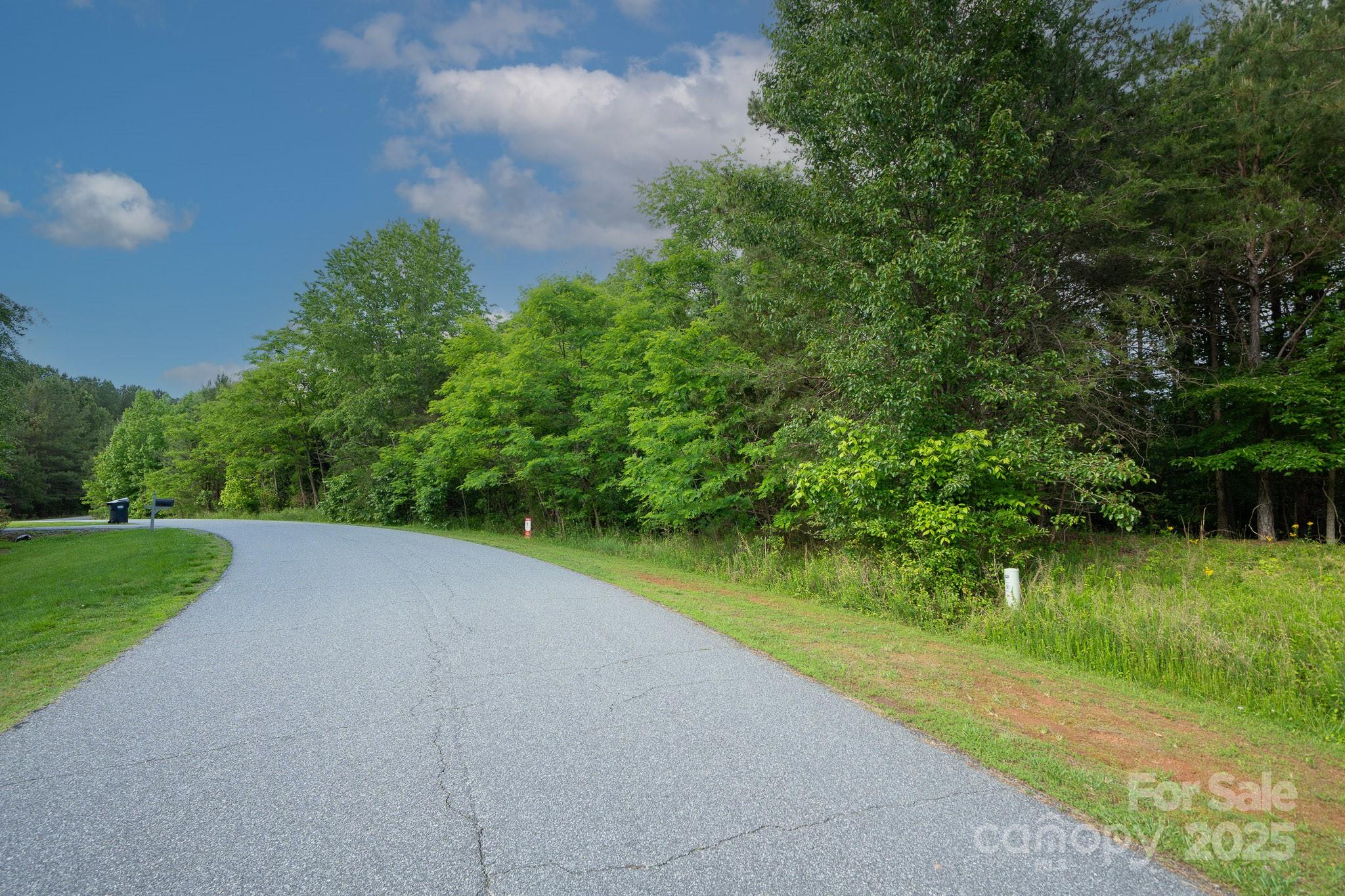 179 Riverwalk Road Stony Point, NC 28678 - Photo 4 of 21