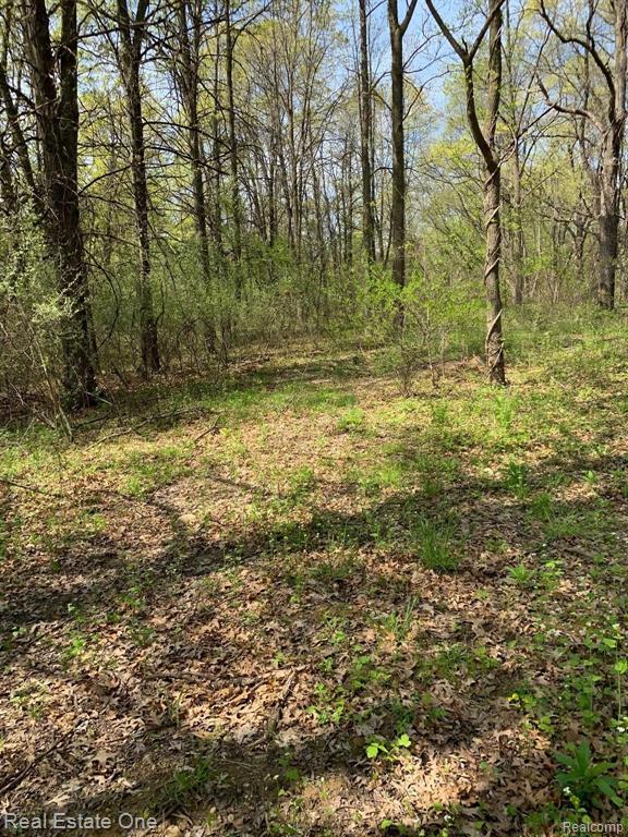 0 Rattalee Lake Road Holly, MI 48442 - Photo 5 of 6
