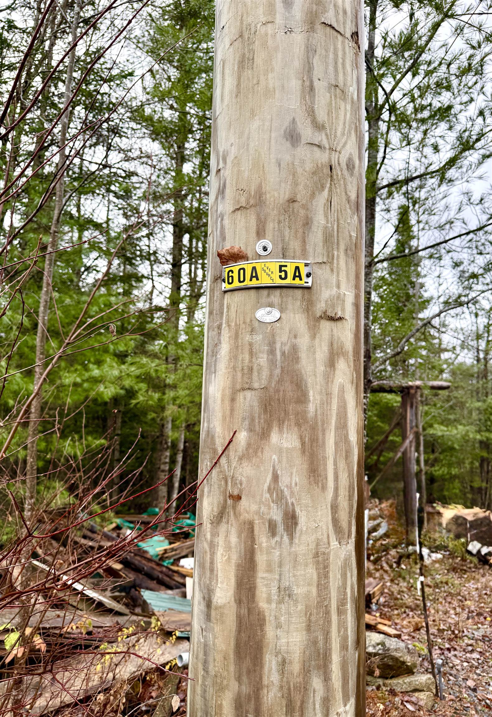 61 Thorn Hill Road Bethlehem, NH 03574 - Photo 3 of 9