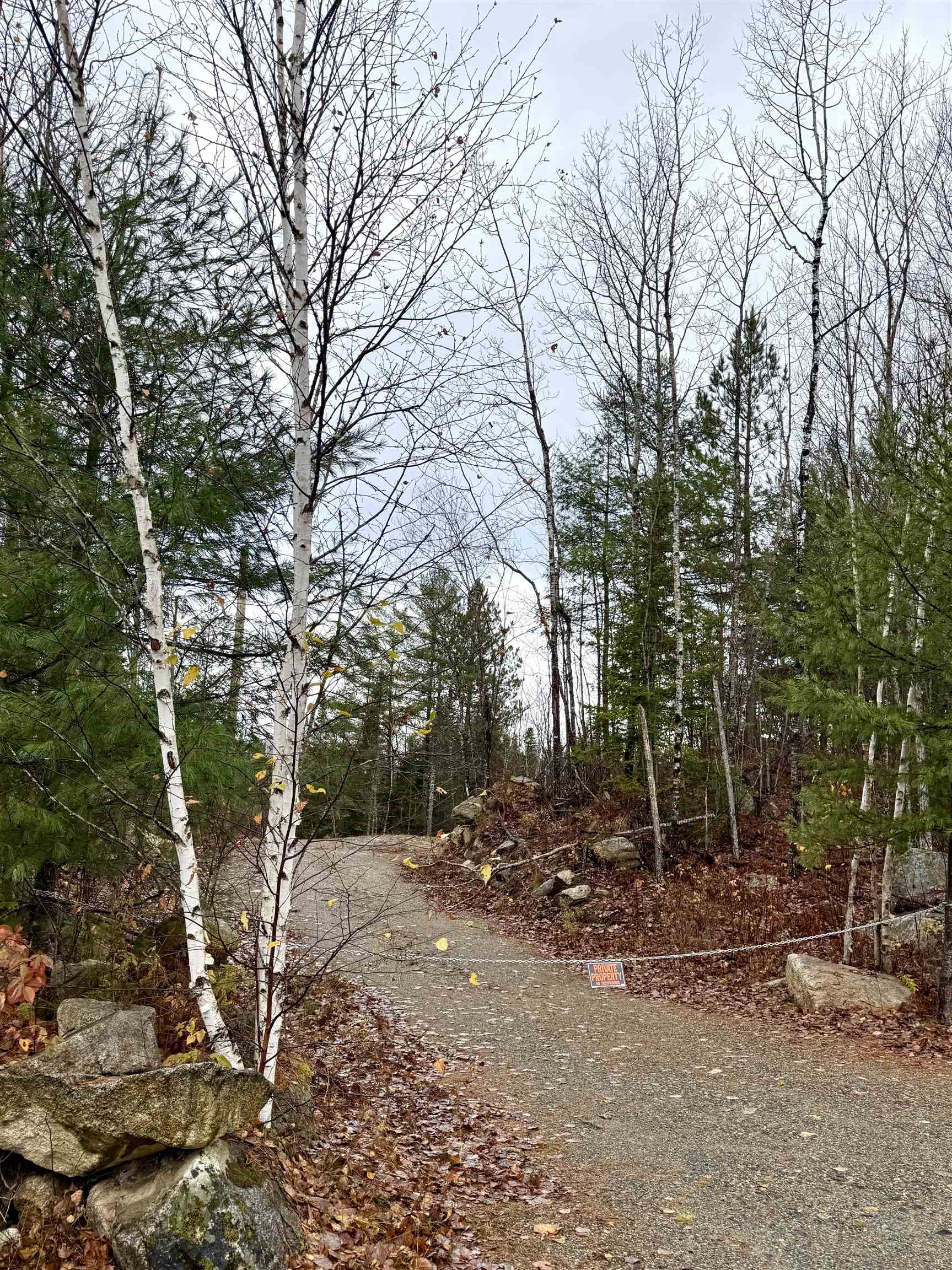 61 Thorn Hill Road Bethlehem, NH 03574 - Photo 5 of 9