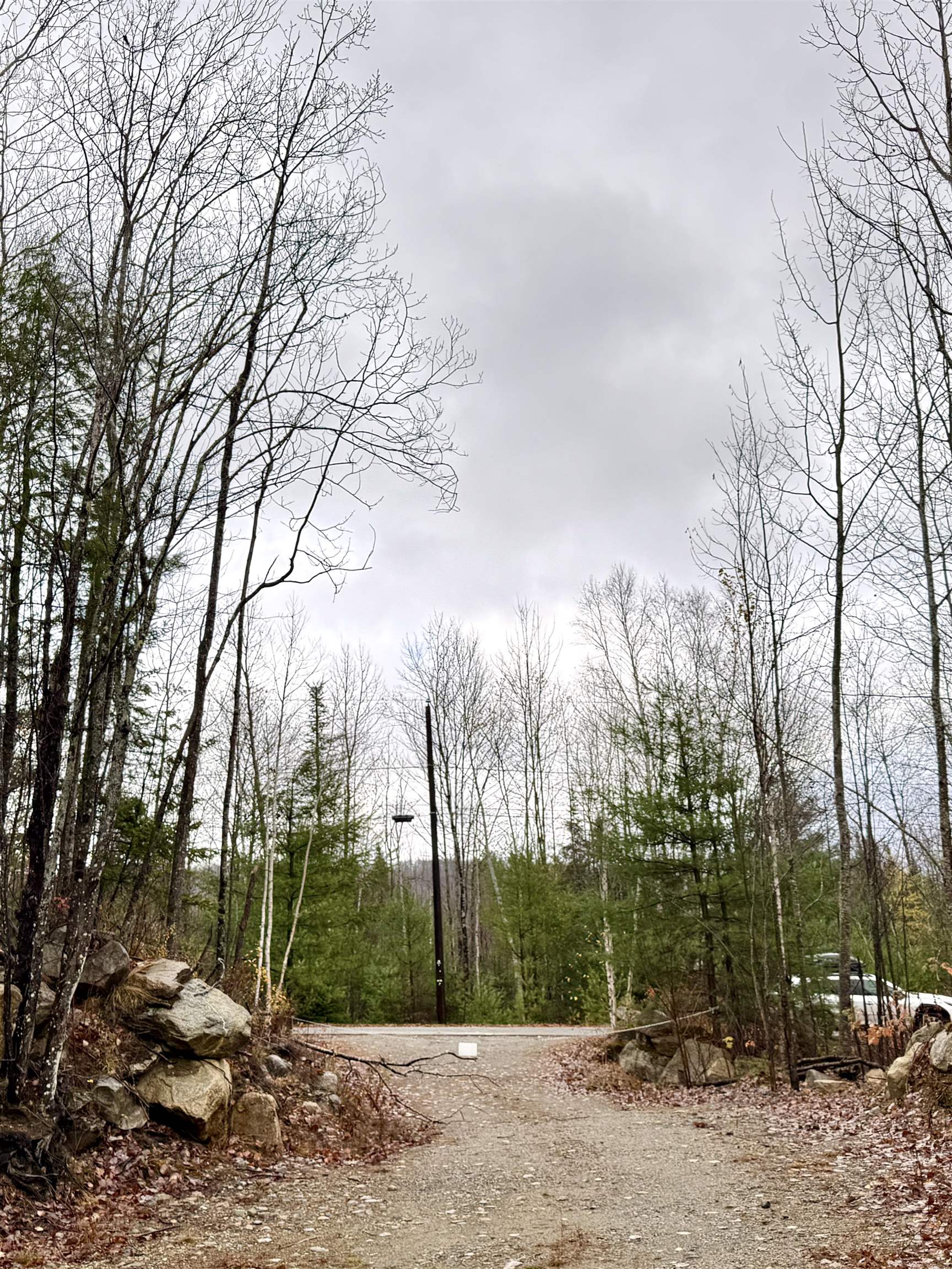 61 Thorn Hill Road Bethlehem, NH 03574 - Photo 6 of 9