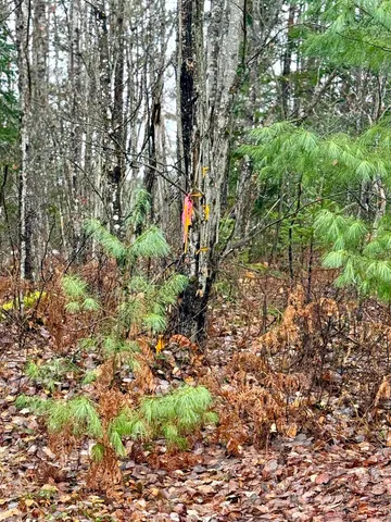 $165,000 | 61 Thorn Hill Road, Bethlehem, NH 03574