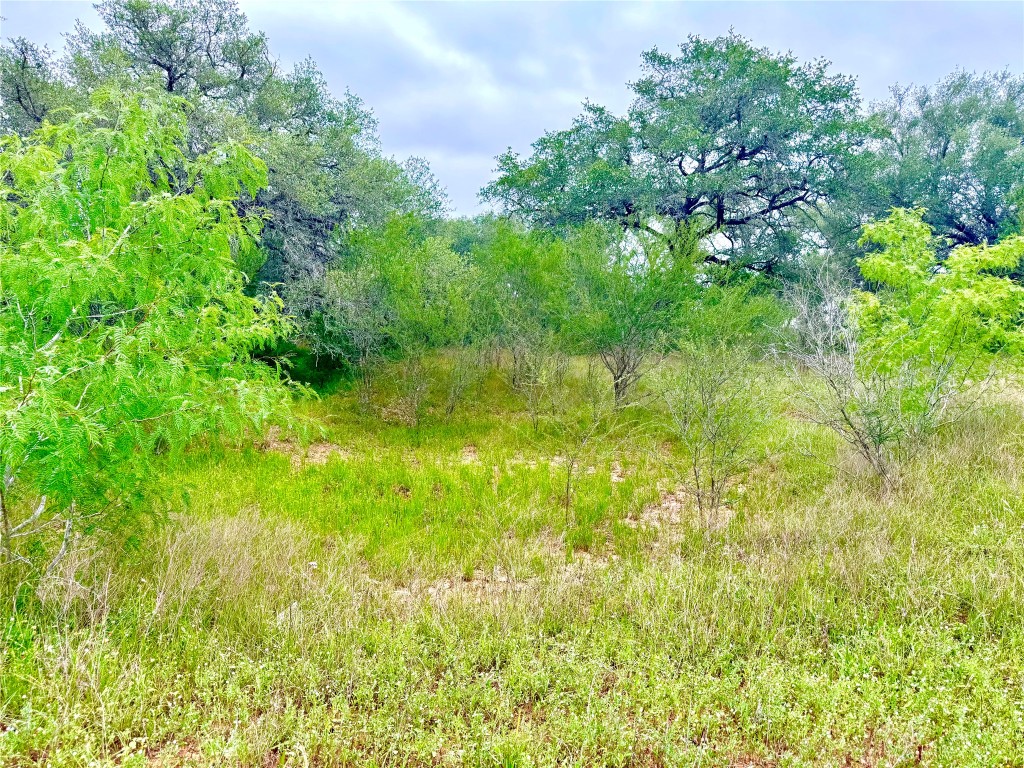 108 St Smiley Tx 78159 Smiley, TX 78159 - Photo 11 of 13 a view of yard with green space