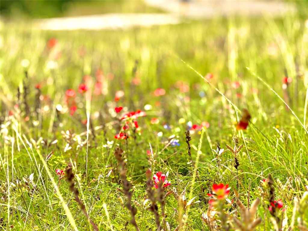 108 St Smiley Tx 78159 Smiley, TX 78159 - Photo 13 of 13