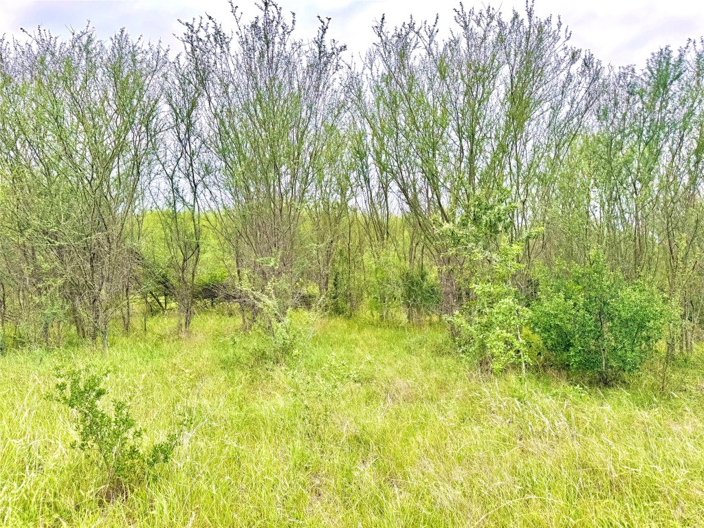 108 St Smiley Tx 78159 Smiley, TX 78159 - Photo 9 of 13