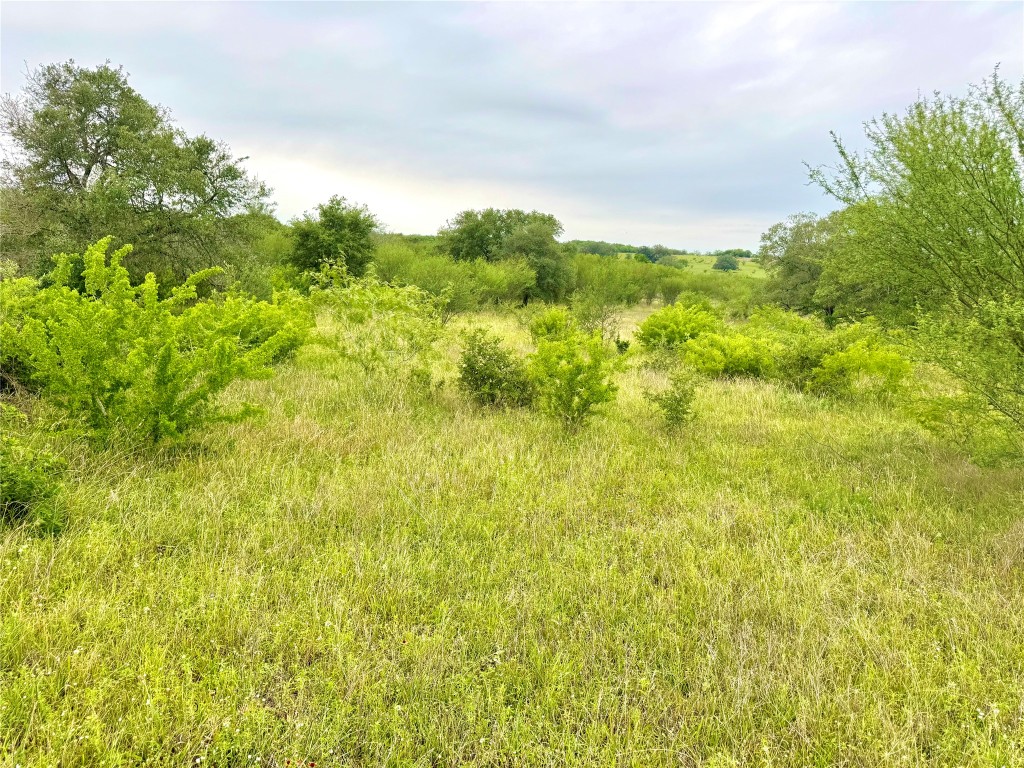 108 St Smiley Tx 78159 Smiley, TX 78159 - Photo 10 of 13 a view of a big yard with plants and large trees