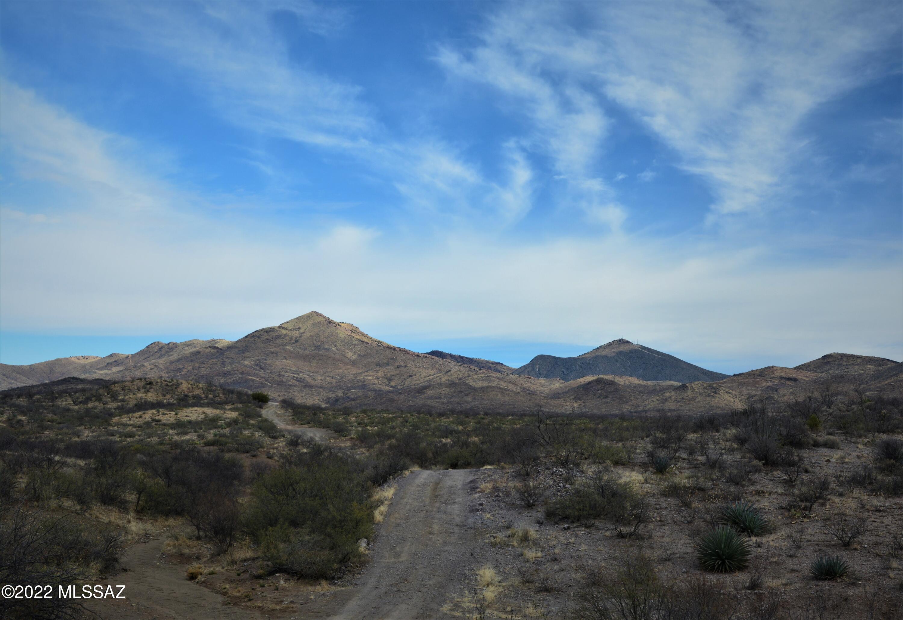 Tbd North Pedregosa Road, Unit 119 Douglas, AZ 85607 - Photo 2 of 4 Gallery Image 2