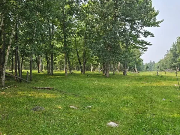 $219,900 | 87 Sw Southwest, Backus, MN 56435