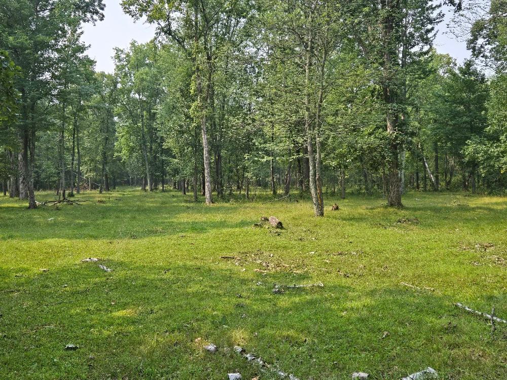 87 Sw Southwest Backus, MN 56435 - Photo 5 of 6