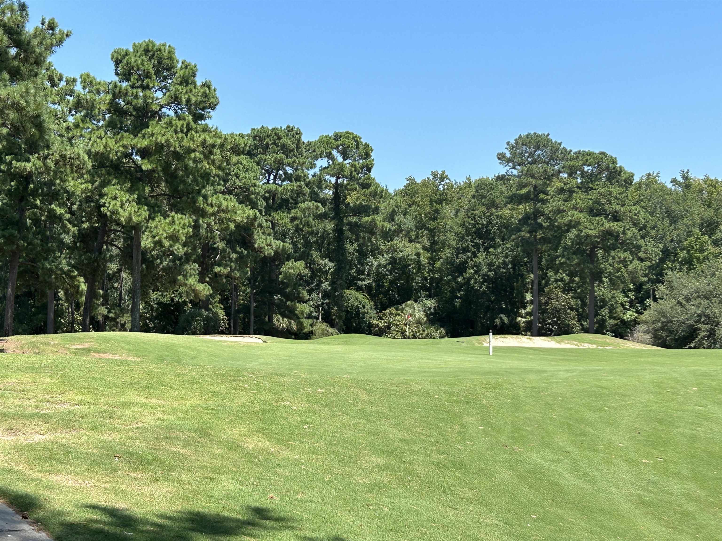 1525 Lanterns Rest Road, Unit 301 Myrtle Beach, SC 29579 - Photo 21 of 41 Gallery Image 21
