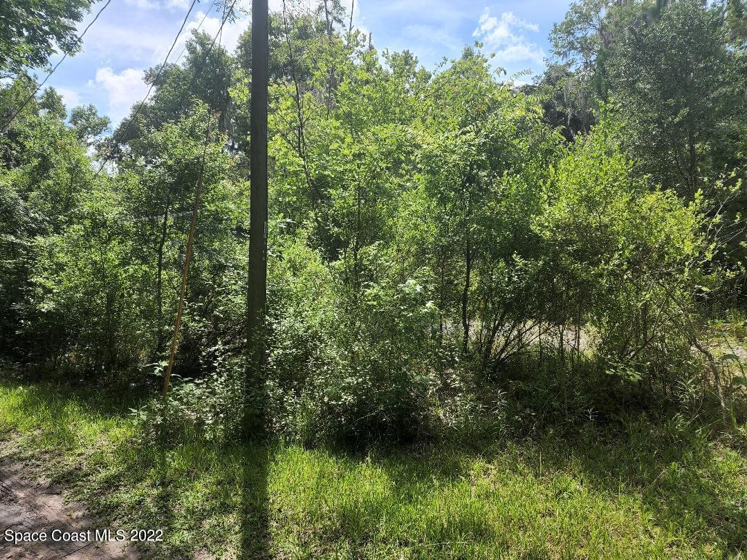 70 North Robin Hood Road Inverness, FL 34450 - Photo 9 of 10 thumbnail (32)