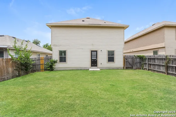 a view of a backyard with plants and large tree