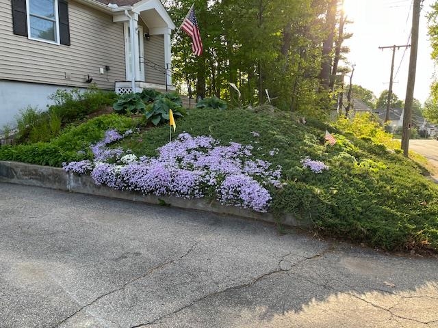 115 Winter Street Laconia, NH 03246 - Photo 18 of 41