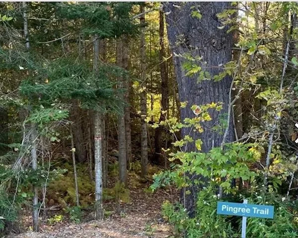 $127,000 | 191 Pingree Park Lane, Londonderry, VT 05148