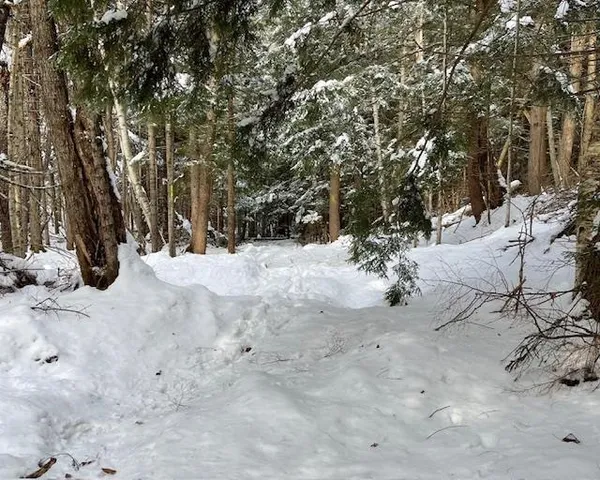 $127,000 | 191 Pingree Park Lane, Londonderry, VT 05148