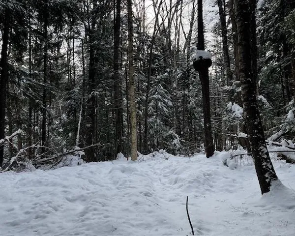 $127,000 | 191 Pingree Park Lane, Londonderry, VT 05148