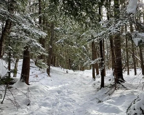 $127,000 | 191 Pingree Park Lane, Londonderry, VT 05148