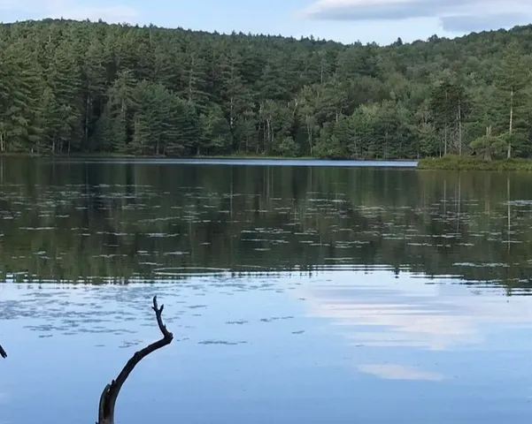 $127,000 | 191 Pingree Park Lane, Londonderry, VT 05148